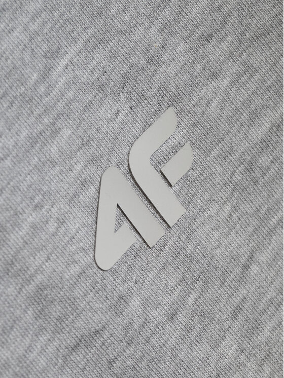 4F 4F T-Shirt COMMERCIAL Szary jasny Loose Fit