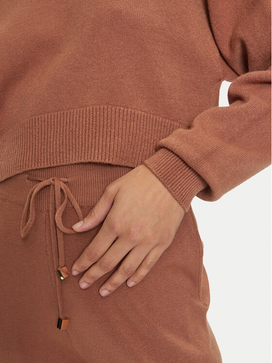 Fracomina Fracomina Pullover FJ24WT7009K42001 Braun Regular Fit