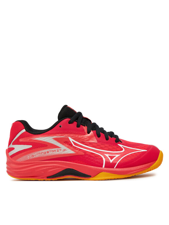 Scarpe Mizuno