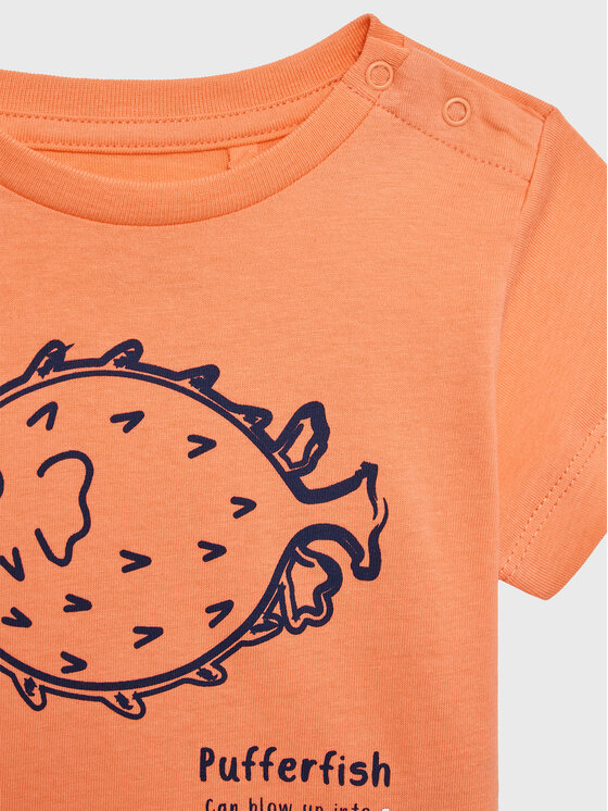 Zippy Zippy 2er-Set T-Shirts ZBBAP0303 23016 Bunt Regular Fit
