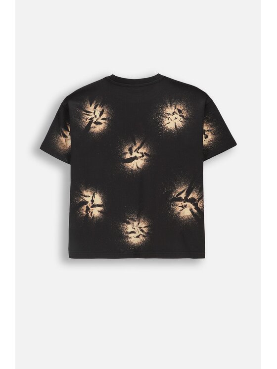Coccodrillo Coccodrillo T-Shirt WC6143205FBJ-022 Barevná Regular Fit