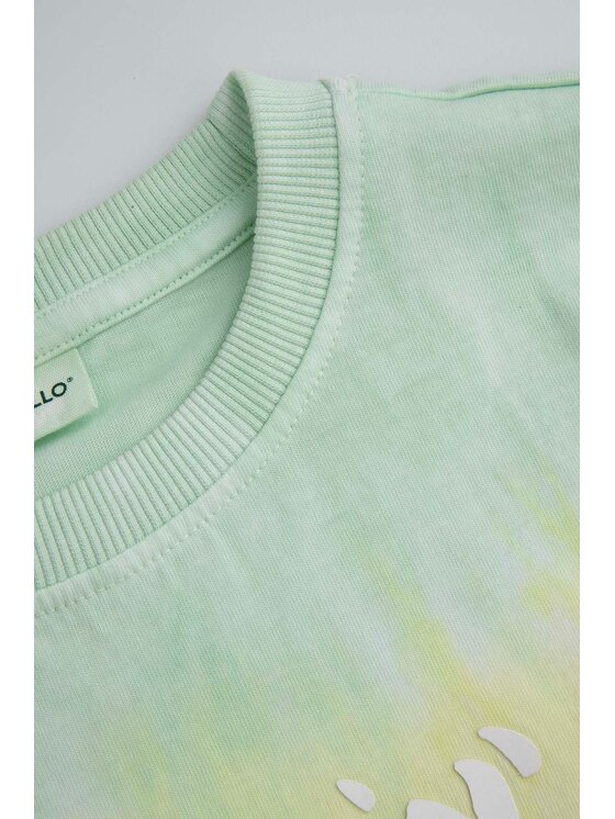 Coccodrillo Coccodrillo T-Shirt WC5143204IBJ-022 Kolorowy Regular Fit
