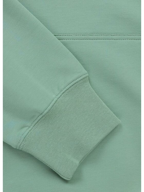 PITBULL PITBULL Bluza DOG SD Zielony Regular Fit