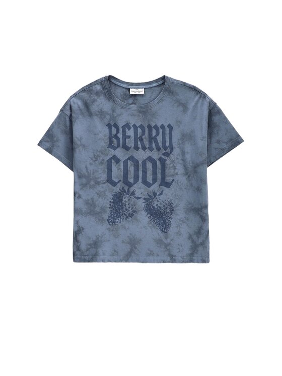 Coccodrillo Coccodrillo Tričko ZC6143202TGJ-014 Modrá Regular Fit
