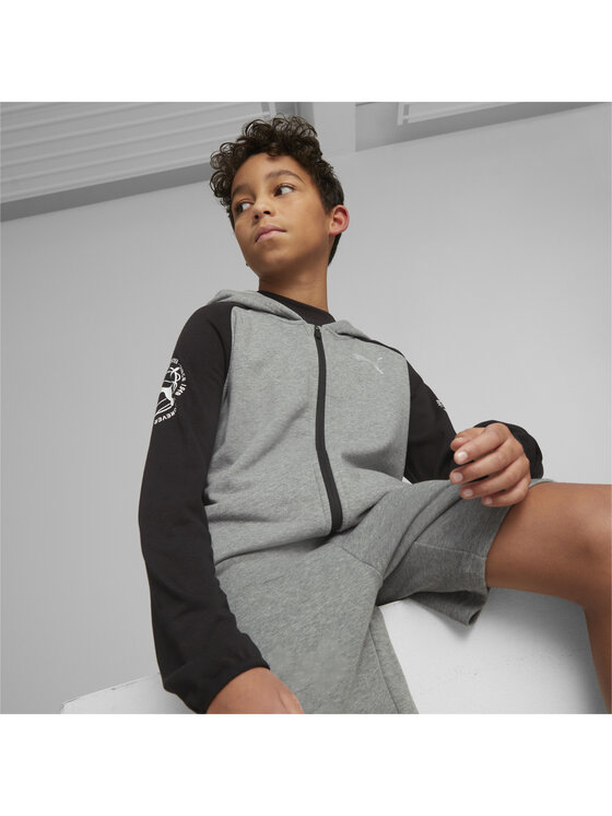 Puma Puma Bluza 673206 Szary Regular Fit