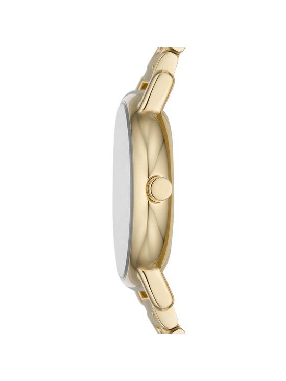 Skagen Skagen Orologio Signatur SKW3124 Oro