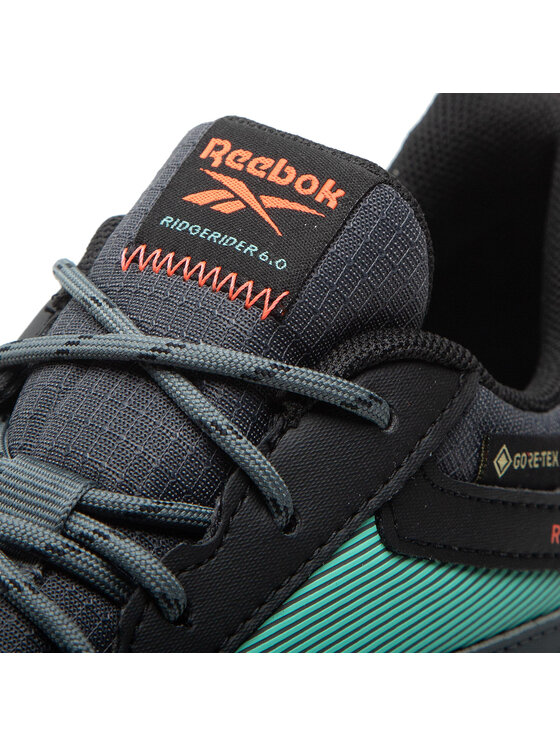 Reebok Reebok Trekking Ridgerider 6 Gtx GORE-TEX GX2245 Siva