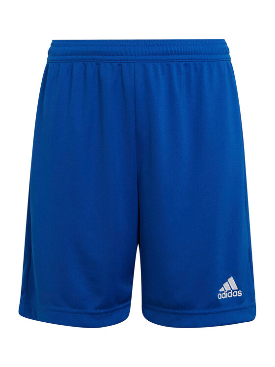 adidas adidas Spordišortsid Entrada 22 HG6291 Sinine Regular Fit