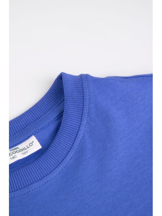 Coccodrillo Coccodrillo T-Shirt WC6143203VBB-014 Niebieski Regular Fit