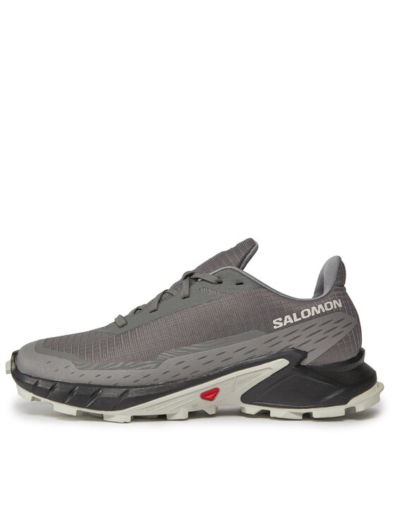 Salomon Salomon Běžecké boty Alphacross 5 473133 29 W0 Šedá