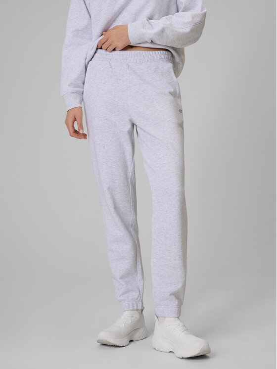 4F 4F Spodnie dresowe basic Szary jasny Regular Fit