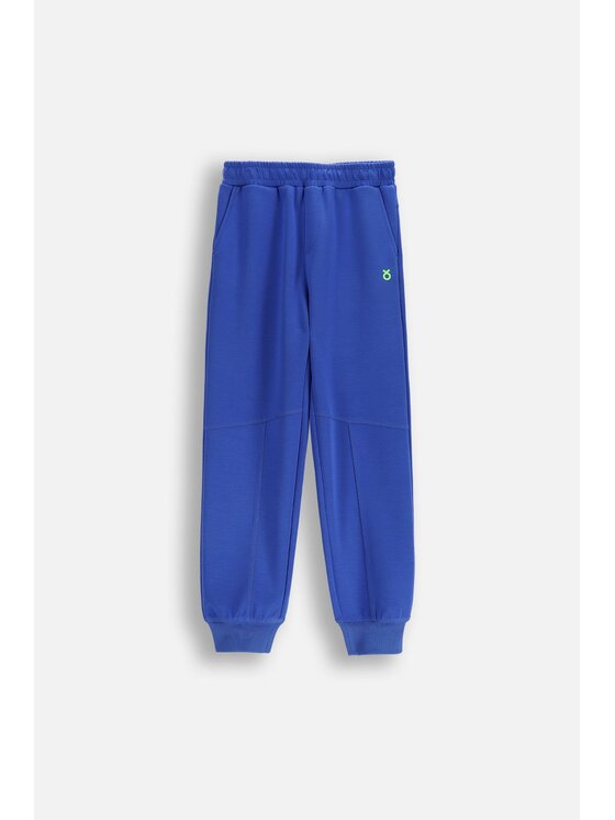Lemon Explore Lemon Explore Spodnie dresowe WL6120101ACB-014 Niebieski Regular Fit