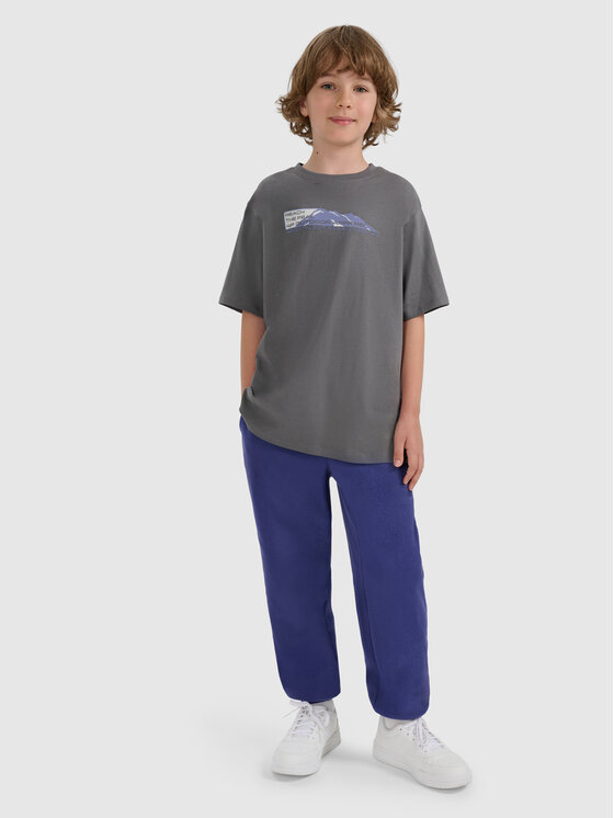 4F 4F T-Shirt APRES SKI Szary Oversize