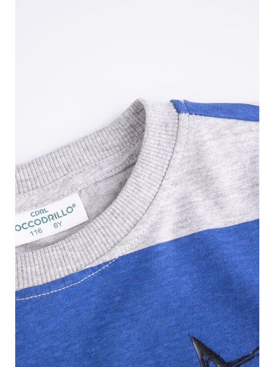 Coccodrillo Coccodrillo T-Shirt ZC4143101DBK-022 Kolorowy Regular Fit