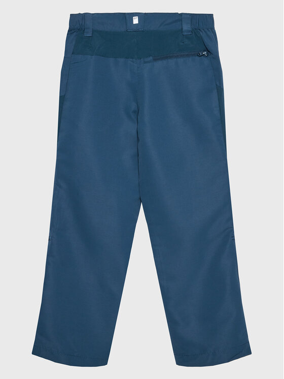 Regatta Regatta Штани outdoor Sorcer Mt VI RKJ135 Cиній Regular Fit