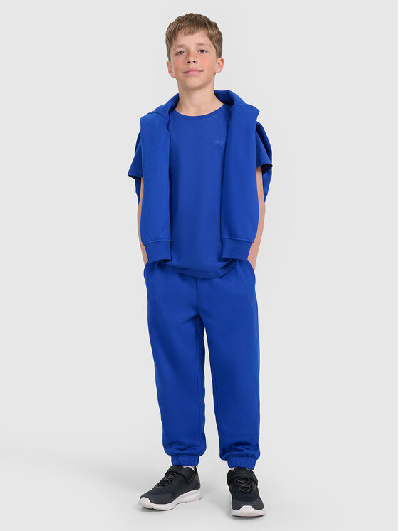 4F 4F T-Shirt BASIC+ Niebieski Regular Fit