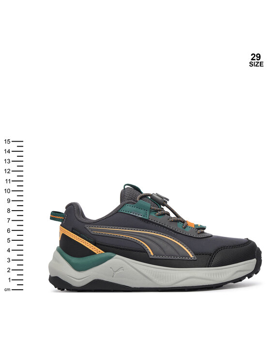 Puma Puma Tossud Evolve 2.0 Trail Lo Ps 313805 Hall