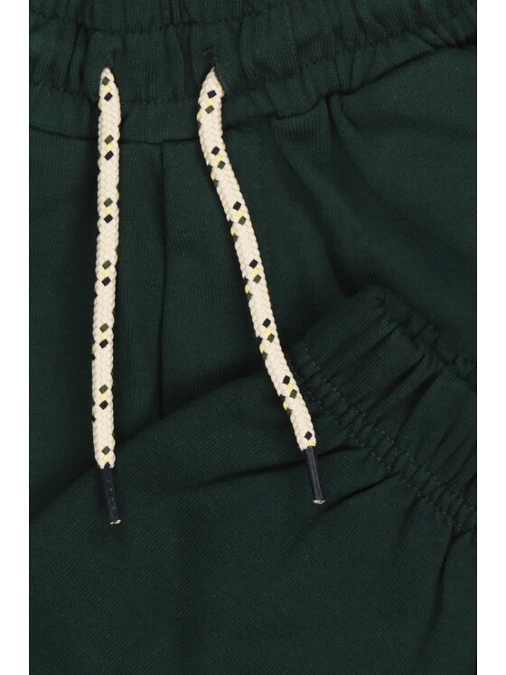 Tumble 'N Dry Tumble 'N Dry Spodnie dresowe 84/22151/11457/6145 Zielony Regular Fit