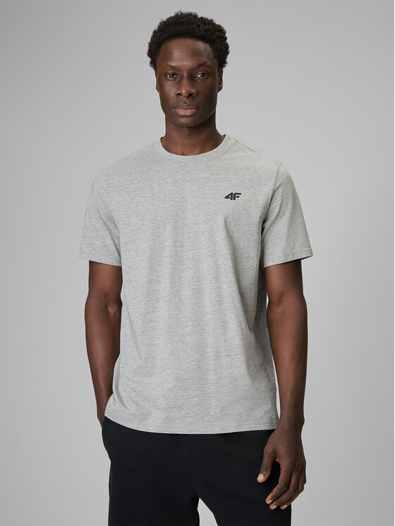 4F 4F T-Shirt NOS Szary jasny Regular Fit