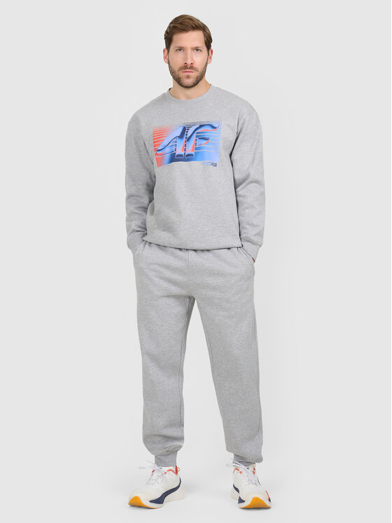 4F 4F Spodnie dresowe WINTER CODE Szary jasny Regular Fit