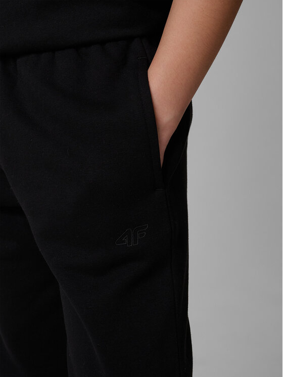 4F 4F Spodnie dresowe BASIC+ Czarny Regular Fit
