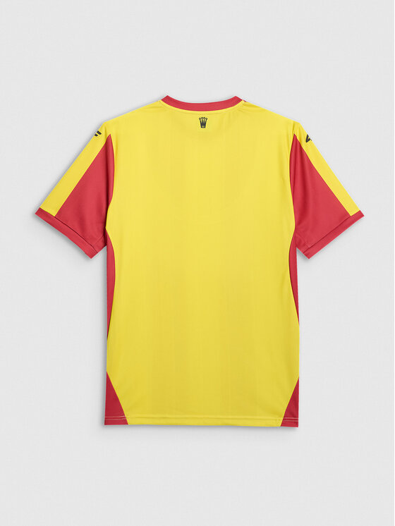 4F 4F Koszulka techniczna TEAMWEAR Kolorowy Regular Fit
