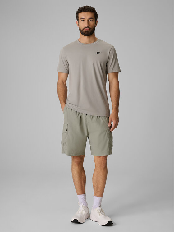 4F 4F T-Shirt BASIC+ Szary Regular Fit