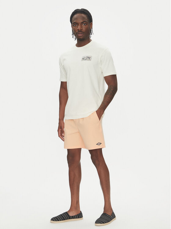 Billabong Billabong T-Shirt Scenic Arch Adiv Ss 24A501539 Biały Regular Fit