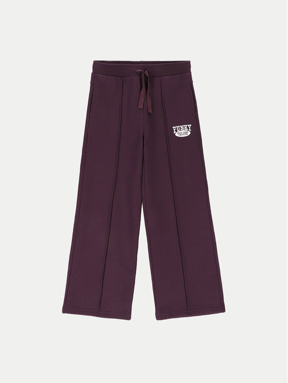 Coccodrillo Coccodrillo Jogginghose ZC4120103AGJ Violett Regular Fit