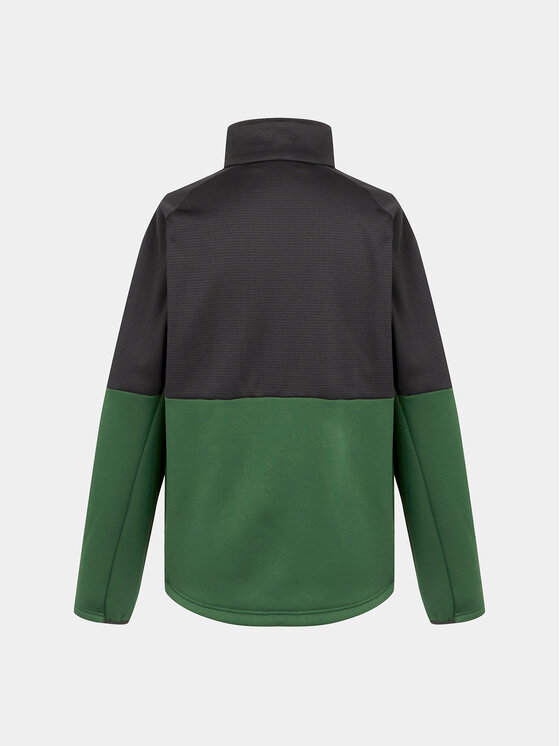Regatta Regatta Sweatshirt Highton Wnt FZ IV RMA558 Grün Regular Fit
