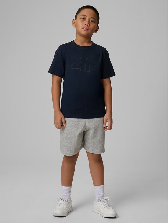 4F 4F Szorty sportowe BASIC+ Szary Regular Fit