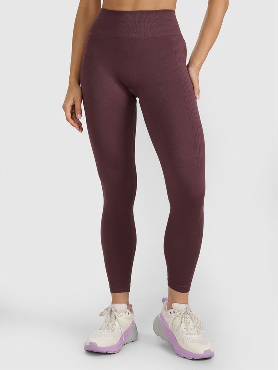 4F 4F Legginsy 4FWAW25TFTIF359-81S Brązowy Authentic Slim Fit