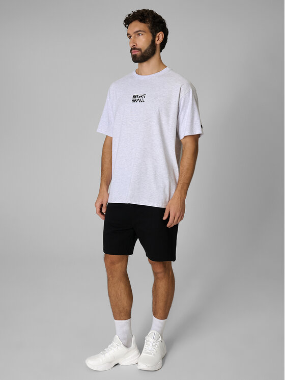 4F 4F T-Shirt ESSENTIALS Szary jasny Loose Fit