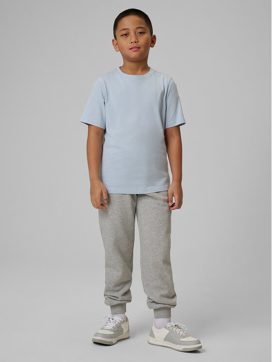 4F 4F Spodnie dresowe NOS Szary Regular Fit