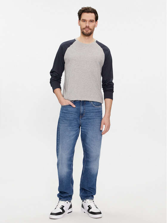Brave Soul Brave Soul Longsleeve MLT-69OSBOURNEJ Сірий Regular Fit