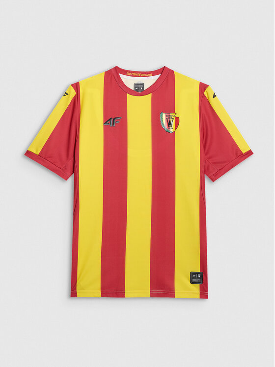 4F 4F Koszulka techniczna TEAMWEAR Kolorowy Regular Fit