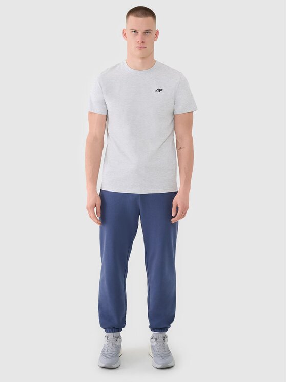 4F 4F T-Shirt 4FWMM00TTSHM2256-27M Szary Regular Fit