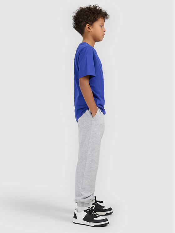 4F 4F Spodnie dresowe BASIC+ Szary Oversize