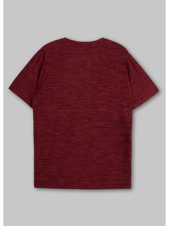 PITBULL PITBULL Koszulka techniczna Koszulka Casual Sport Small Logo 3XL Bordowy Regular Fit