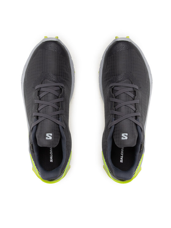 Salomon Salomon Маратонки за бягане Alphacross 4 Gtx GORE-TEX 470667 26 V0 Сив