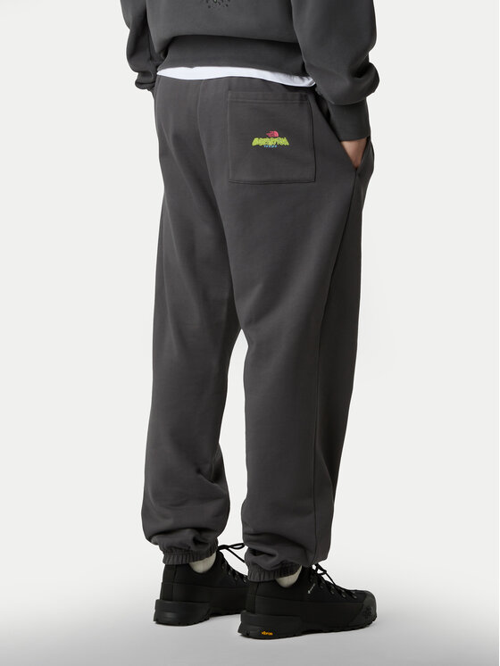 The North Face The North Face Jogginghose Expedition Celebration NF0A8E3E Grau Relaxed Fit
