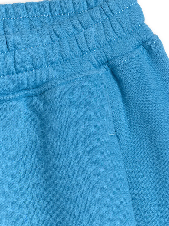 4F 4F Spodnie dresowe 4FRSS26TTROF1724-32S Granatowy Jogger Fit