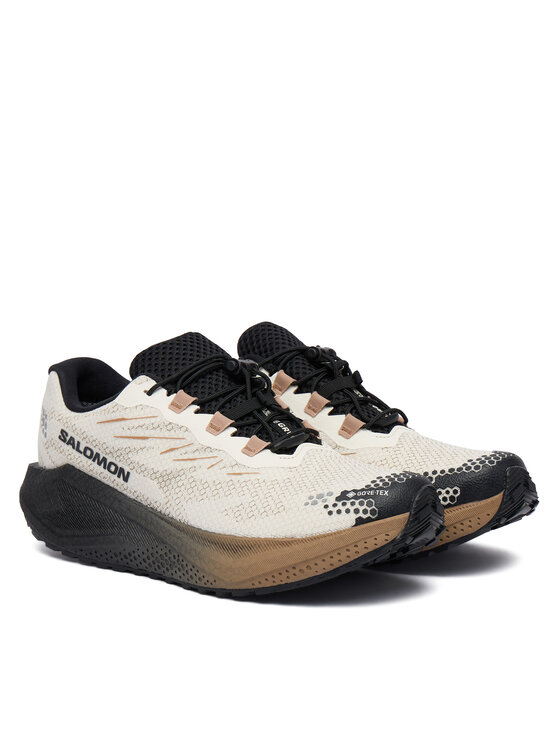 Salomon Salomon Взуття для бігу Aero Blaze 4 gtx GORE-TEX L45403200 Бежевий