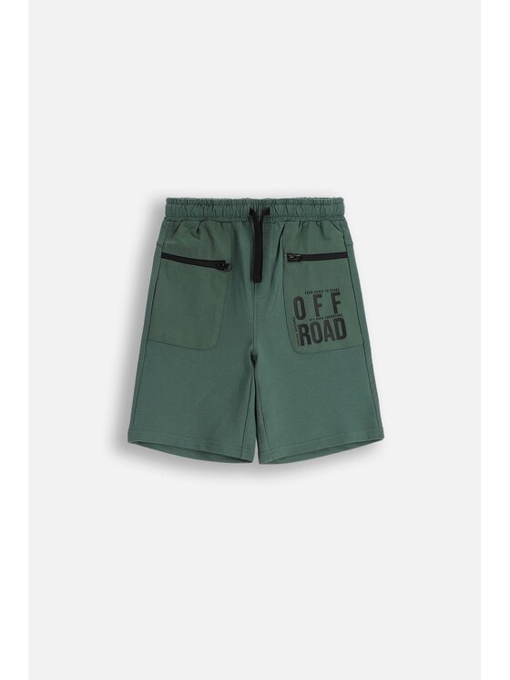 Coccodrillo Coccodrillo Pantaloncini WC5120501WBJ-011 Verde Regular Fit