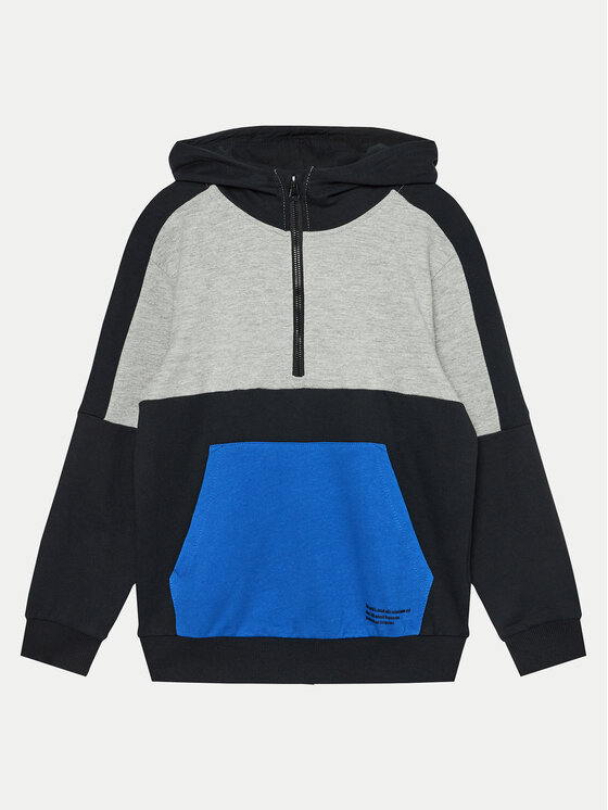Coccodrillo Coccodrillo Суитшърт ZC4132301DBJ Цветен Regular Fit