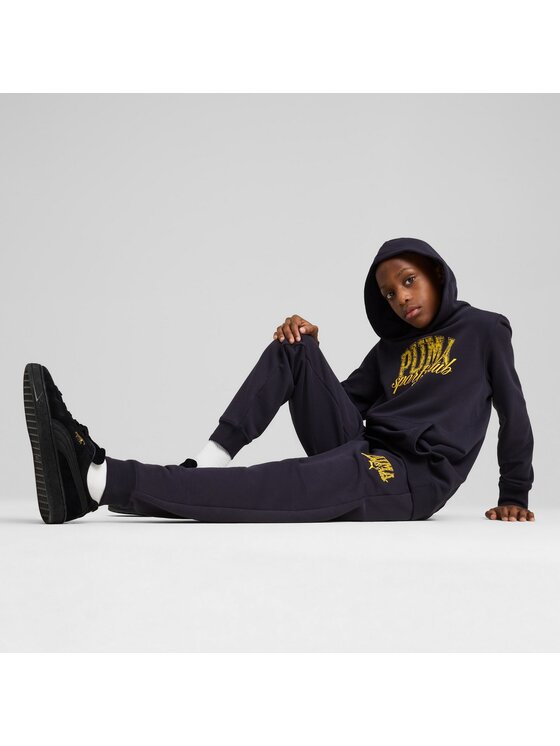 Puma Puma Bluza 685798 Niebieski Regular Fit
