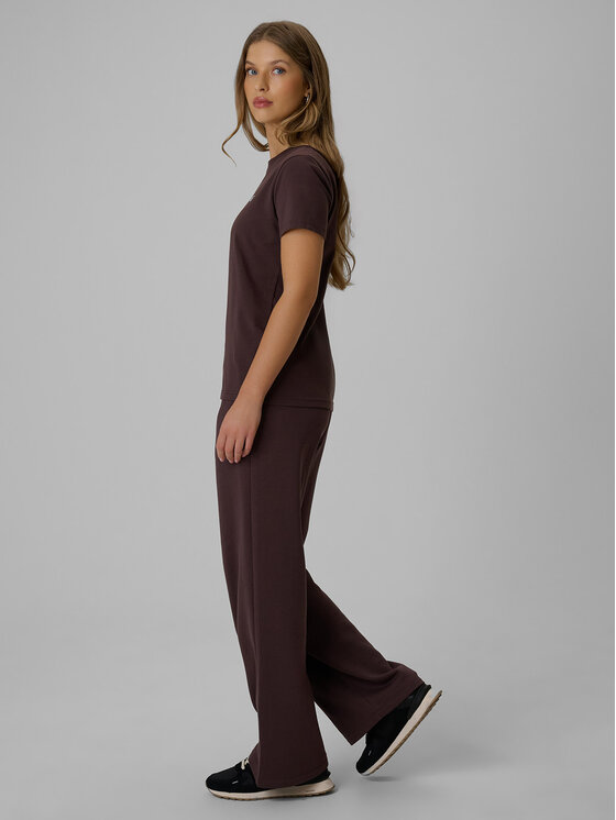 4F 4F Spodnie dresowe basic Brązowy Regular Fit