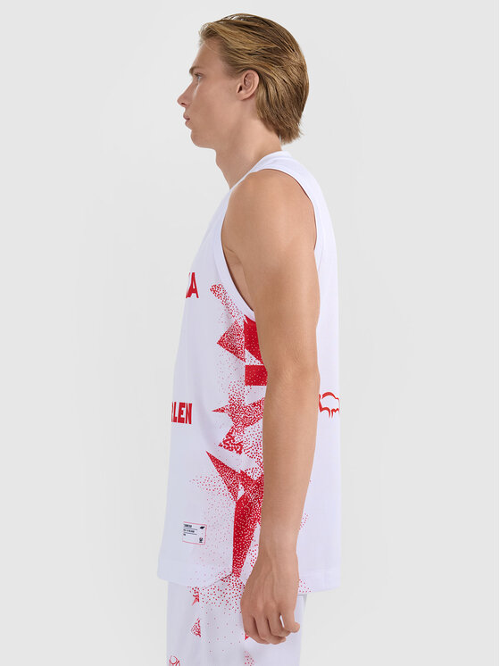 4F 4F Koszulka techniczna TEAMWEAR Kolorowy Regular Fit
