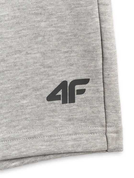 4F 4F Športové kraťasy BASIC+ Svetlosivá Regular Fit