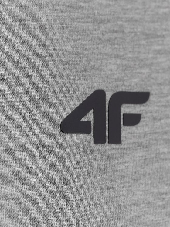 4F 4F T-Shirt NOS Szary jasny Regular Fit